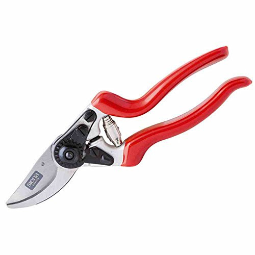 Siena Garden Premium Bypassschere, Gartenschere, Rosenschere, 691530