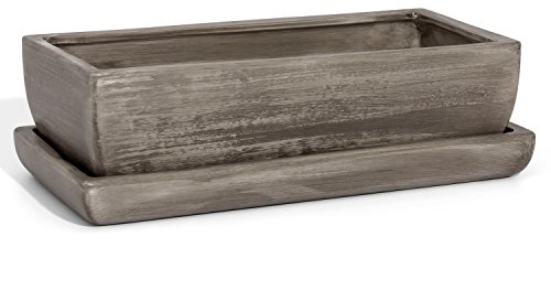 Ecoceramik Keramik Blumentopf Blumenschale Kakteenschale Untersetzer Kakteen Bonsai Sukkulenten Beton grau