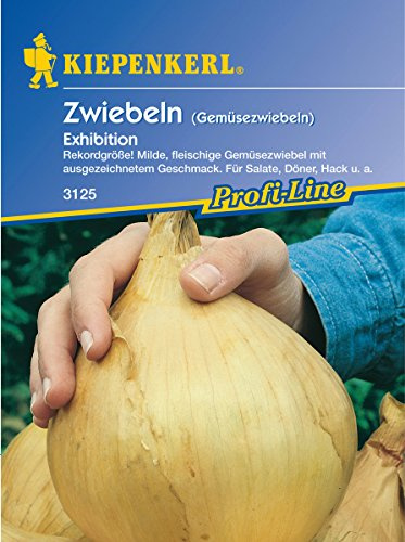 Sperli Gemüsesamen Gemüsezwiebel Exhibition, grün