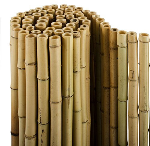 Casa pura® - Paravento di canne di bambù, per protezione privacy o come tappeto, eccellente qualità, prodotto naturale, tre misure