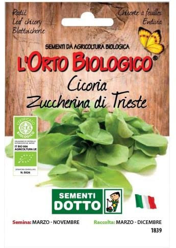 Idroponica Semi biologici di Cicoria Triestina Taglio