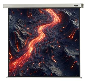 celexon Professional Motor-Leinwand 130 | 240x240 cm 1:1 | elektrische 4K ,Full-HD Beamer-Leinwand für Projektionen im Büro & Heimkino | zur Decken-/ Wand-Montage | mit Fernbedienung