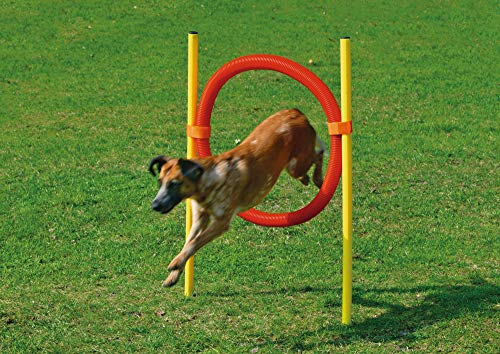 Karlie 31853 Agility däck set L: 1 m B: 3 cm ø: 60 cm röd-gul