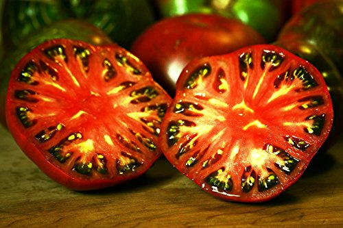 RWS 10 semillas de tomate púrpura Cherokee, muy antigua variedad del indio Cherokee, probado nuevos gérmenes de entrega