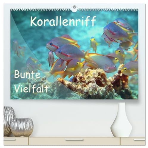 Bunte Vielfalt im Korallenriff (hochwertiger Premium Wandkalender 2026 DIN A2 quer), Kunstdruck in Hochglanz: Farbexplosion im Korallenmeer! (CALVENDO Natur)