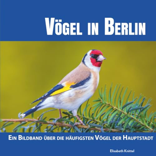 Vögel in Berlin: Ein Bildband über die häufigsten Vögel der Hauptstadt