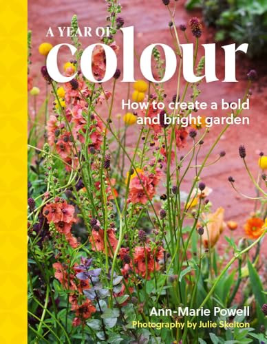 A Year of Colour: How to create a bold and bright garden