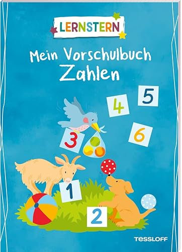 LERNSTERN. Mein Vorschulbuch Zahlen: Spielerische Vorbereitung auf das Rechnenlernen