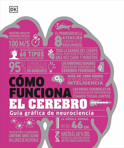 Cómo funciona el cerebro: Guía gráfica de neurociencia