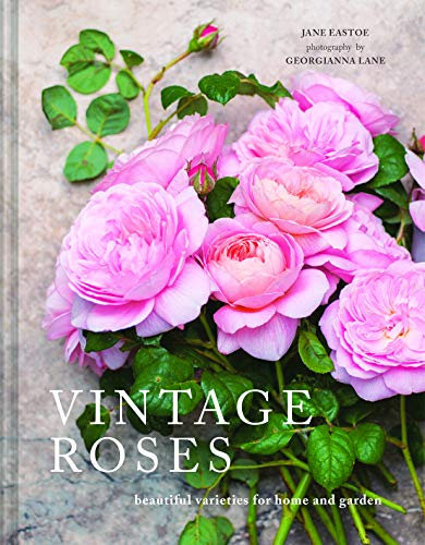 Vintage Roses: A beautiful photographic guide for growing and cutting flower varieties for the home and garden