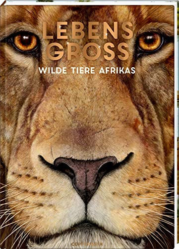 Lebensgroß: Wilde Tiere Afrikas (Nature Zoom)