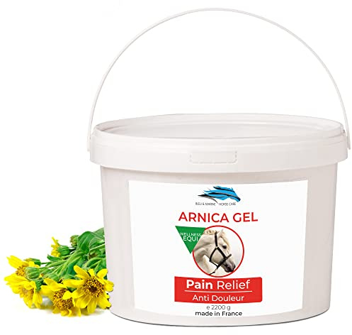Arnika FORTE Gel-Konzentrat 90% Arnika-Extrakt BIO aus Biologischem Anbau. Massage-Gel für Muskeln und Gelenke. Feuchtigkeitscreme für die Haut - 2200 g 2.2 kg