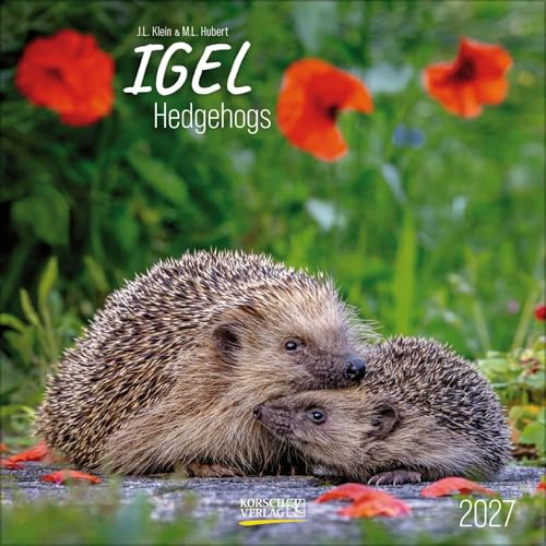 Igel 2027: Broschürenkalender mit Ferienterminen. Tierkalender mit viel Platz für Notizen. Mit Monatskalendarium zum Eintragen. 30 x 30 cm