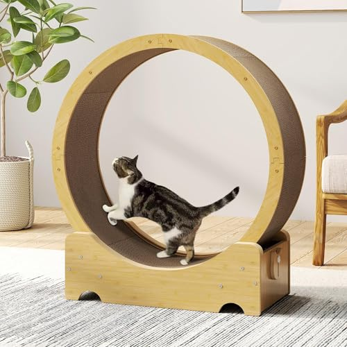 COZIWOW Cat Wheel for Indoor Cats, Cat Treadmill with Built-in Scratching Pad and Locking Mechanism, 34 Cat Exercise Running Wheel for Most Cats Running/Walking/Training