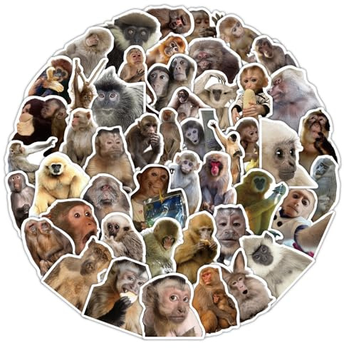 50 Pcs Monkey Stickers Laptop Car Scrapbook Phone Skateboard Suitcase Luggage Bike Monkey Vinyl Waterproof Aesthetic Personalised Stickers for Adults
