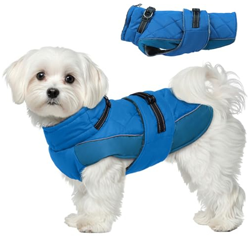 Katzinst Hund Mantel S, Hunde Wintermantel mit Hohem Kragen, Wintermantel Hund für Kleine Hunde, Hundejacke für Kaltes Wetter, Warmer Hundejacke mit Geschirr für Zwergschnauzer, Schneespiel, Blau, S