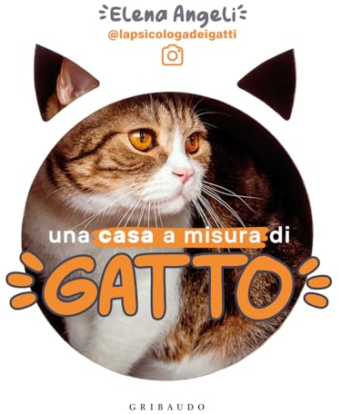 Una casa a misura di gatto