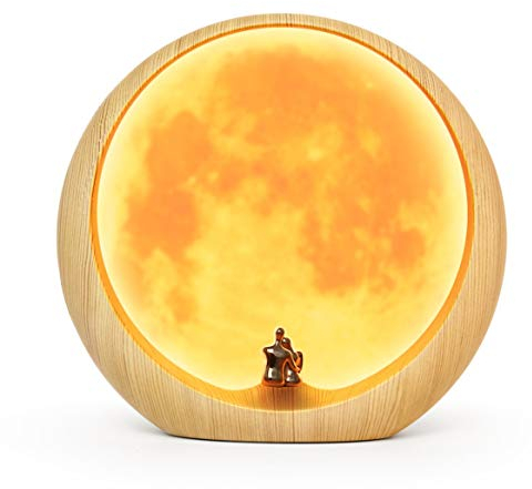 Mond Umgebungslicht Jahrestag Hochzeit Valentinstag Geschenkideen Kunst Dekoration, USB Projection Lamp mit Touchschalter, Dekorative Nachtlampe für Schlafzimmer, Liebe unter dem roten Mond-Mond