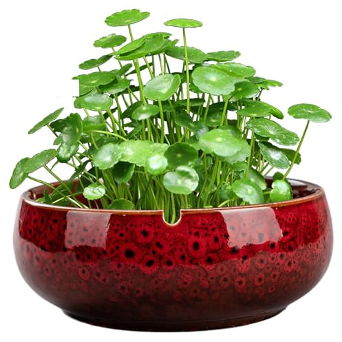 Peosaard Pot de Fleur en Pot à bonsaï, planteur de Bol Lotus, récipient hydroponique Non poreux en céramique Rouge, lys Rond au ménage Succulent Simple Bassin en céramique / 6, 5 x 2, 5 Pouces