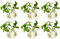 6 Pcs Wall Hanging Glass Planters 10cm Diameter Round Glass Plant Pot - Water Planting Vases Air Flower Vase Plant Terrariums Plant Container
