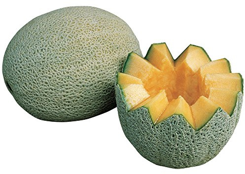 Burpee Charentais Melon Seeds 25 seeds