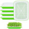 thirei Bandejas para germinar brotes, 5 unidades, 32 cm x 25 cm, bandeja de germinación para semillas grandes, bandeja de germinación, para frijol mungo, alfalfa, hierba de trigo
