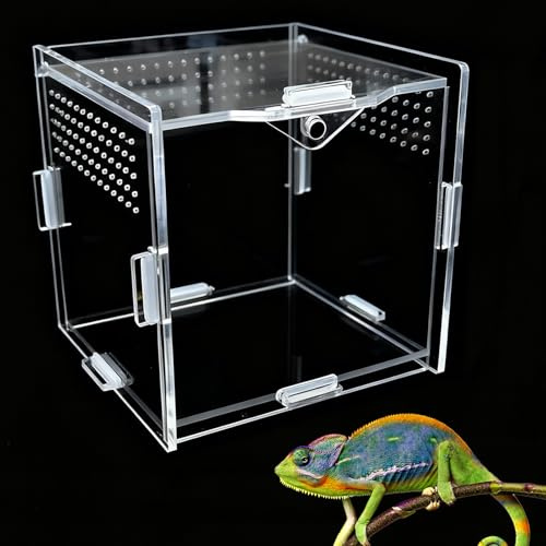 Springspinnengehege, Insekten-Terrarium, Vogelspinne, Faunarium, Acryl, Reptilien-Futterbox, für Vogelspinne, Schnecke, Beteranterganz, Frosch und kleine Reptilien, 10 x 10 cm