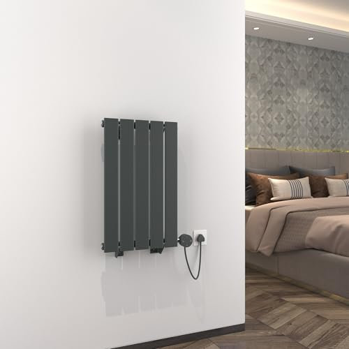 Radbliss Radiatore elettrico con termostato, 385 x 630 mm, colore antracite, elemento riscaldante da 300 W, design orizzontale piatto con timer, controllo touch o controllo app