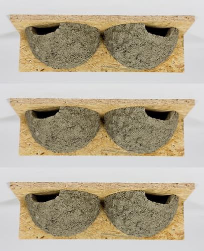 3 x Mehlschwalbendoppelnest, Schwalbennest, Nistkasten, Nisthilfe, Mehlschwalbennest, Nester