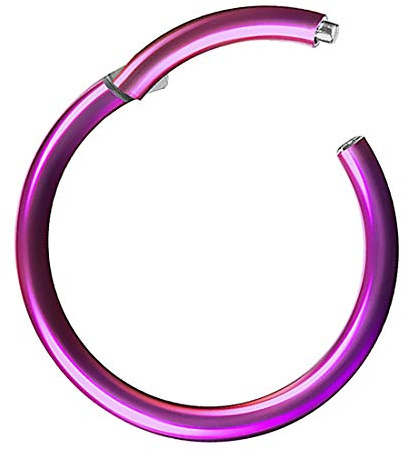Taffstyle Piercing Ring Segmentring Clicker Scharnier Septum Tragus Helix Ohr Nase Lippe Nasenring Nasenpiercing Lippenpiercing Dünn Lila 1,2mm x 8mm