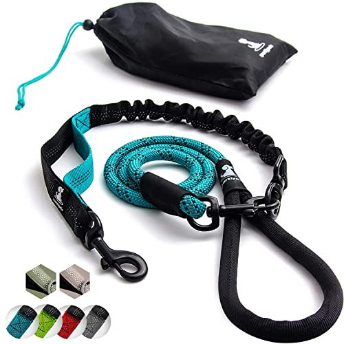 Hundeleine mit Bungee Verlängerung für Große und Mittelgroße Hunde mit Ruckdämpfer | Reflektierende Elastische Hundeleine zum Spazierengehen (Türkisgrün, Für 1 Hund)