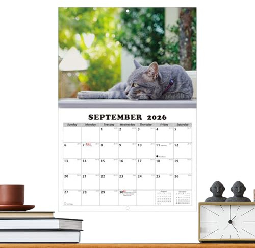 Huasean Calendario De Pared De Gatos 2026,Planificador De 13 Meses | Almanaque de Gatos para Pared | Para Salón Dormitorio Despacho Aula Oficina Estudiantes Profesores Consultores Freelancers Taller
