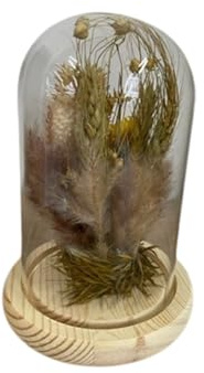 HEITMANN DECO Trockenblumen in Glasglocke, Natur, 11,5x11,5x17 cm
