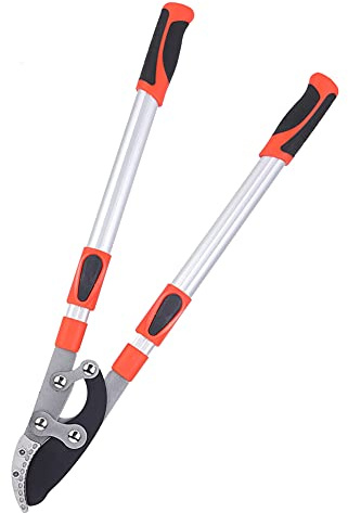 Cesoie da Potatura, Forbici per Piante, Tagliabordi per Piante, Alberi e Fiori per Tagliare Fiori per il Giardino