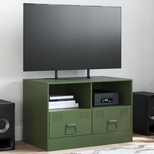 Natulvd Steel TV Stand for Small Space, Small TV Cabinet Unit with 2 Drawers and Open Shelves, Metal Sideboard for Living Room, Playroom (Green)