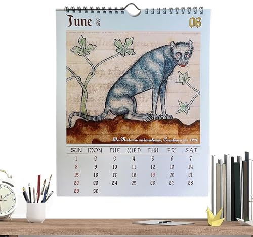 Calendarios De Pared - Calendario Mensual Medieval De Para Colgar | Planificador Anual 2026 Para Colgar Con Recordatorios Para Celebraciones De Cumpleaños Y Fiestas En Casa Oficina Cocina Ho
