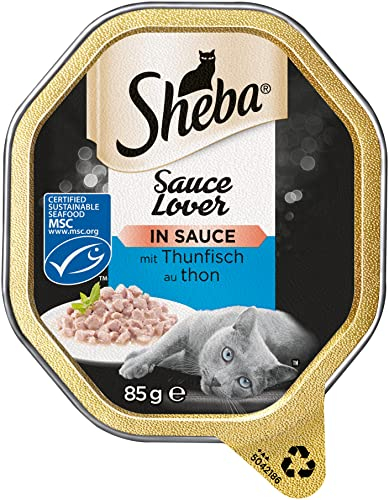Sheba Sauce Lover – Feine Thunfischhäppchen (MSC) mit Sauce für ausgewachsene Katzen – 22 x 85g Katzennahrung in der Schale