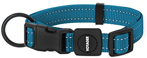 Best Pet Supplies Reflective Dog Collar with Adjustable Length, Heavy-Duty Buckle, and Strong Leash D-Ring, Training, Walking, Jogging Accessory for Small, Medium, and Large Breeds - Turquoise, S