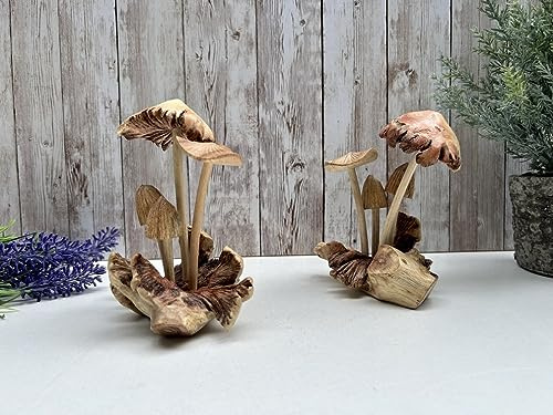 MAISONICA Assorted Mushrooms on Root Wooden Sculpture Ornament - Hand Crafted on Teak Root - Gift