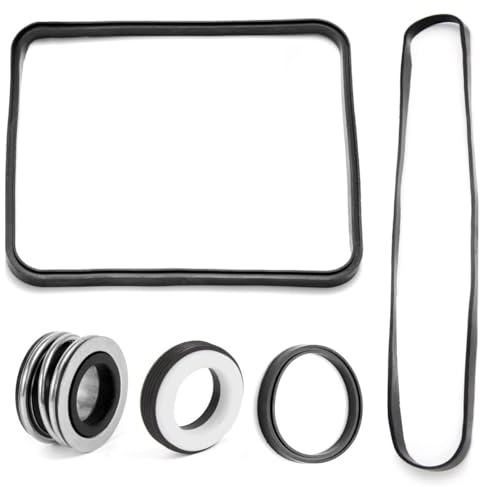 Laroal Kit de reparación de junta tórica para bomba de piscina para modelos SP1600 SP2600 SP2600X VSP Kit de junta de goma para prevención de fugas y mantenimiento de bombas de piscina
