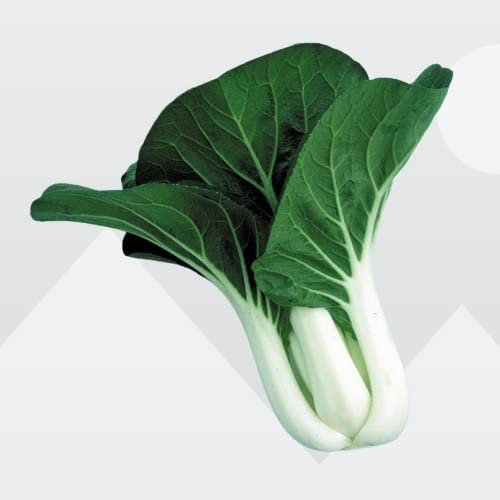 Bolly Bulbs® Pak Choi (Dwarf Canton White) 250 Seeds
