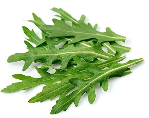 Rocket Plants, 12 x Full Plant Pack, Fresh Salad, Vegetables, Garden Ready and Ready to Plant, Premium Quality Salads