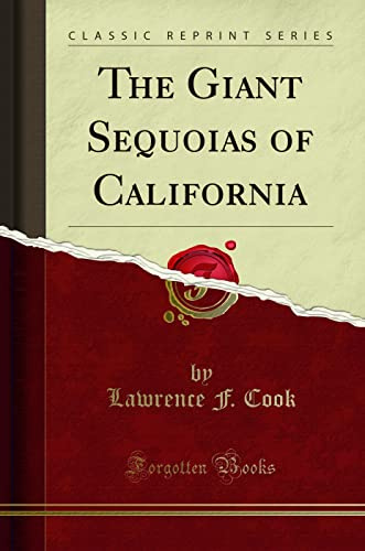The Giant Sequoias of California