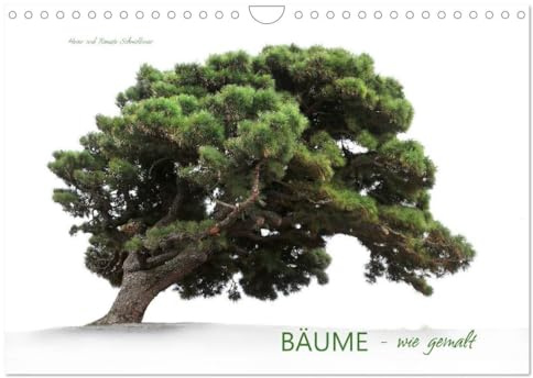 BÄUME - wie gemalt (Wandkalender 2026 DIN A4 quer), CALVENDO Monatskalender: Verschiedene Baumarten, meist im Nebel fotografiert sehen aus als wären sie von einem Künstler gemalt.