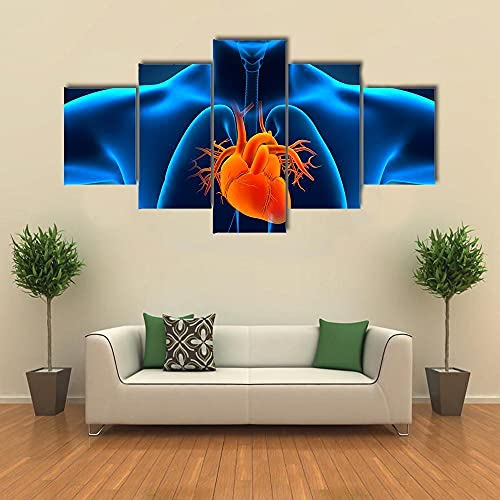 Quadri Moderni Stampa Soggiorno Anatomia cuore umano Immagini 5 Pannelli Painting Stampato Decorazione stampa artistica intelaiata e pronta da appendere