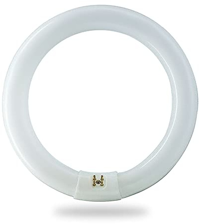 BULBMASTER FC12T9/D 32 Watts 12 Inch Round T9 Fluorescent Circular Light Bulb, Daylight 6500K, FC12T9 1930 Lumens G10Q 4-Pin Base 32W Circline Ceiling Lights