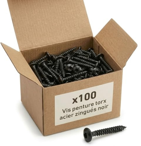 100 Vis Penture Torx acier zingués Noir - diamètre 6 mm - Longueur 100 mm