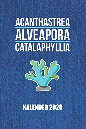 Kalender 2020 Acanthastrea Alveapora Catalaphyllia: Korallen Riffaquaristik Riffaquarium (Riffleben, Band 1)
