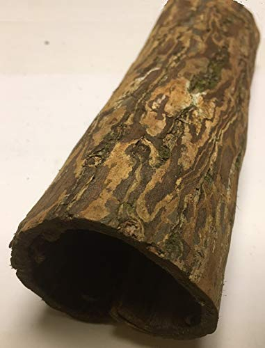 Sjöskalmträd oxrör ca Ø 4–5 cm x 15–20 cm lång (Catappa Barks Cave/Tube – Welsträ) akvarium deko akvaristik naturprodukter – naturlig akvarium dekoration