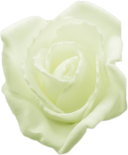 mixed24 100 St. 5cm Rosenköpfe Schaumrosen Foamrosen Blumen Rosa Weiß Creme Rot Kunstrosen (Creme)